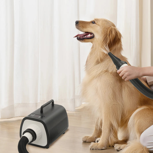 Professional Pet Hair Dryer for Dogs & Cats, 2100W High-Speed Blower, Adjustable Temp & 9 Speed Settings, with LED Display