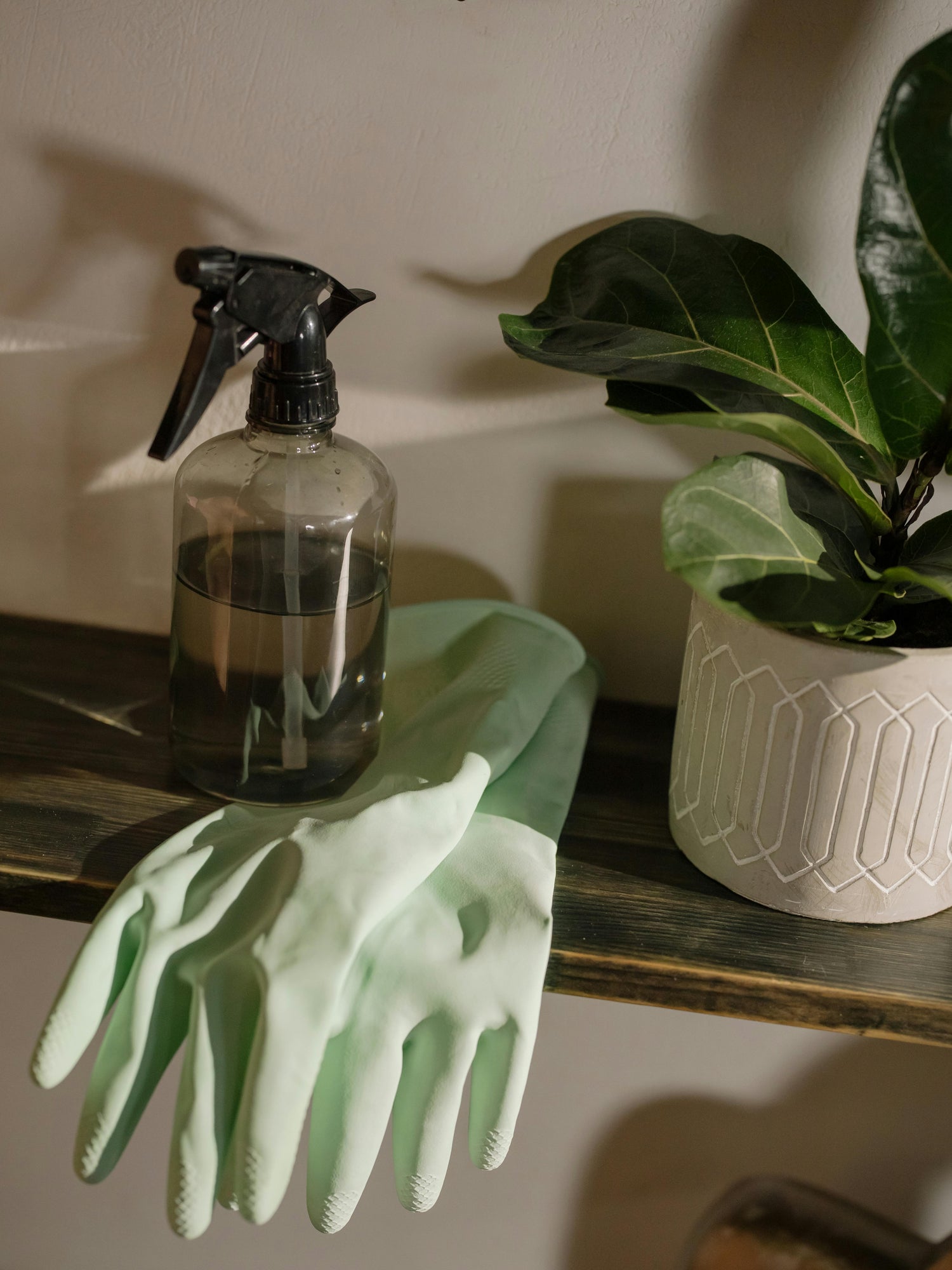 Cleaning and Supplies