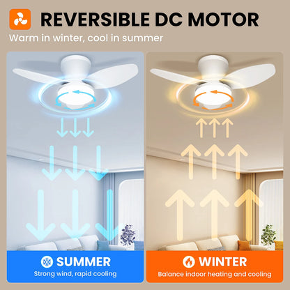 Mexllex Three Leaf Ceiling Fan with Light & Remote Control, 6 Speed, Reversible Noiseless, Dimmable LED Chandelier for Bedroom
