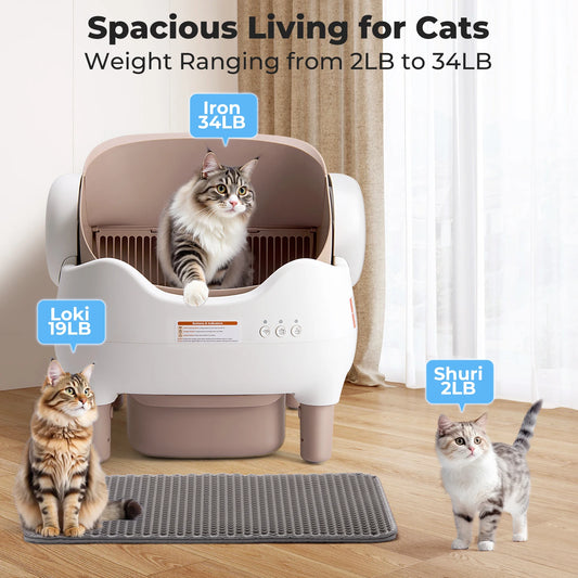 Self Cleaning Litter Box, Automatic Cat Litter Box with APP Control, Odor-Free  Large Waste Bin, Open-Top for Multi Cats