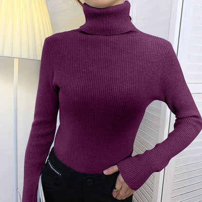 Heliar Women Fall Turtleneck Sweater Knitted Soft Pullovers Cashmere Jumpers Basic Soft Sweaters For Women 2025 Autumn Winter