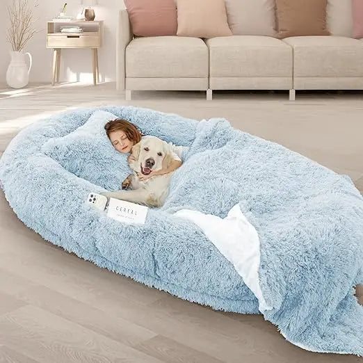 Oversized 71x45x12 Grey Memory Foam Dog Bed with Pillow, Blanket & Strap for Adults and Large Pets,Customized