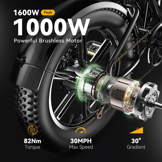 1000W Motor 20" Fat Tire All-Terrain Mountain Snow 48V 20/30AH Battery Powered Electric Motorcycle 80Miles+ 30MPH Outdoor E-bike