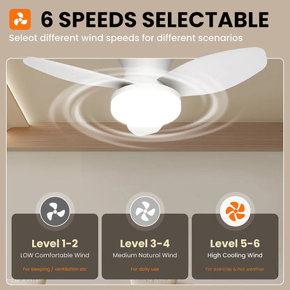 Mexllex Three Leaf Ceiling Fan with Light & Remote Control, 6 Speed, Reversible Noiseless, Dimmable LED Chandelier for Bedroom