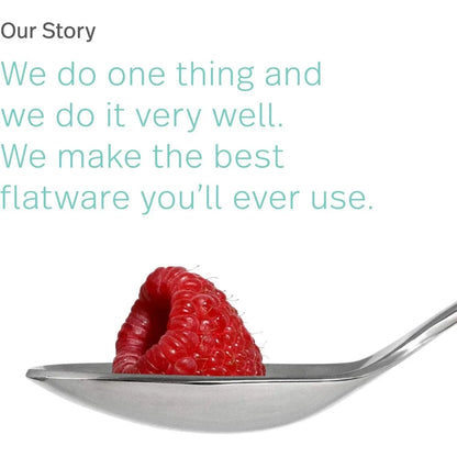 20-Piece Stainless Steel Flatware Set, Polished Silverware Collection for 4, Kitchen Dining Cutlery