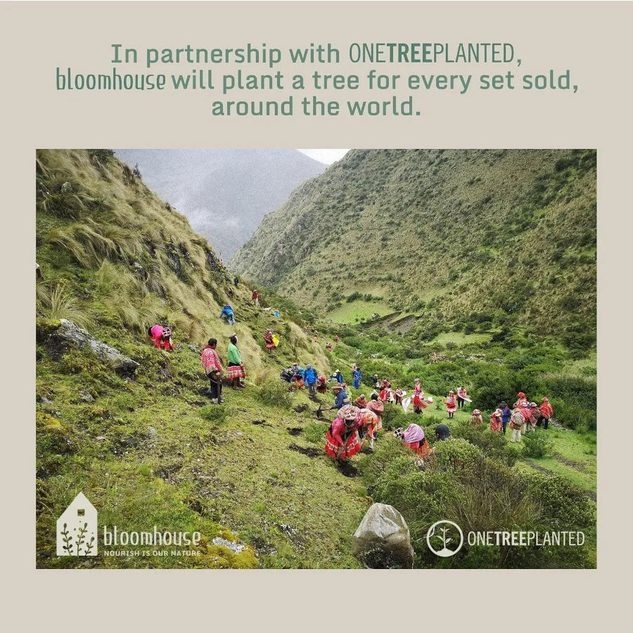 Bloomhouse 12 Piece Aluminum Pots and Pans Cookware Set w Nontoxic Ceramic Nonstick Ceramic Steamer Insert 12 Protective Care B