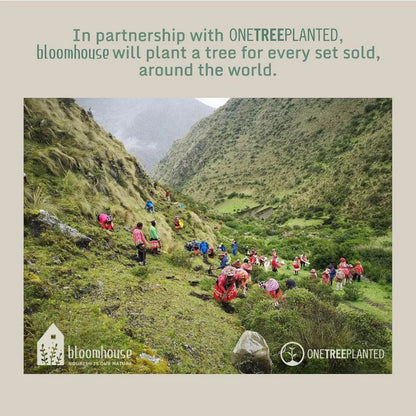 Bloomhouse 12 Piece Aluminum Pots and Pans Cookware Set w Nontoxic Ceramic Nonstick Ceramic Steamer Insert 12 Protective Care B