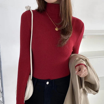 Women Solid Color Long Sleeves Turtleneck Knitted  Sweater Basic Soft Pullovers Simple Elegant Fashion New