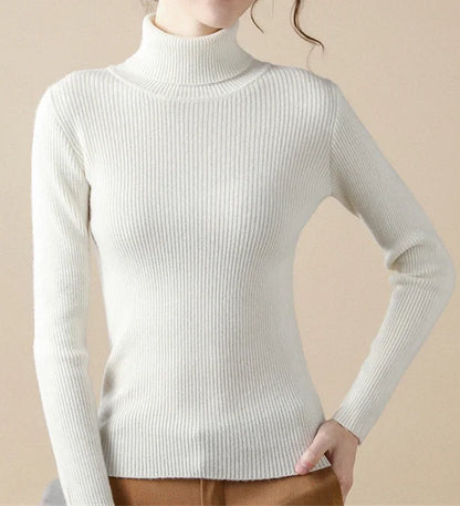 Women Solid Color Long Sleeves Turtleneck Knitted  Sweater Basic Soft Pullovers Simple Elegant Fashion New